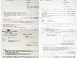 Diduga Pelaksana Hukum di Tulang Bawang Jalan di Tempat, Oknum Pelaku Perampasan Padi Berlenggang Di Sp 8 Kampung Gedung Jaya.